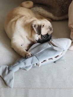 Jouet Interactif Pour Chien - Truite -Animalerie Lambwolf Collective jouet fouille design minimalist pour chien truite 2