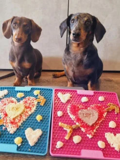 Tapis De Léchage Renforcé LickiMat Pro Soother - Rose 7 Tapis De Léchage Renforcé LickiMat Pro Soother - Rose -Animalerie Lickimat tapis lechage occupation chien soother pro