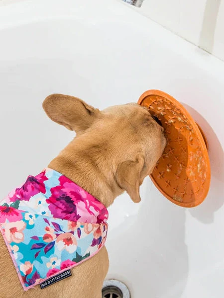 Bol D'enrichissement Et De Léchage LickiMat Splash - Orange 4 Bol D'enrichissement Et De Léchage LickiMat Splash - Orange – Image 2