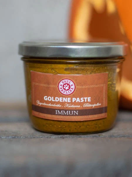 Complément Alimentaire "Golden Paste" - Boost Système Immunitaire 4 Complément Alimentaire "Golden Paste" - Boost Système Immunitaire – Image 2