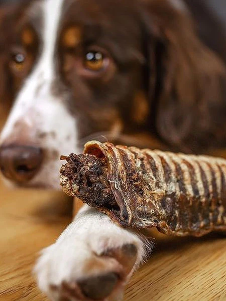 5 Trachées De Boeuf Fourrées Aux Superaliments - Cannelloni - Paul & Paulina 4 5 Trachées De Boeuf Fourrées Aux Superaliments - Cannelloni - Paul & Paulina – Image 2