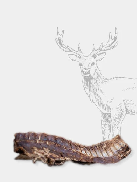 Friandise De Mastication Pour Chien - Ribs XXL De Cerf - Paul & Paulina 3 Friandise De Mastication Pour Chien - Ribs XXL De Cerf - Paul & Paulina