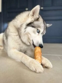 Barres De Fromage De Yak Soufflé - Offre Limitée 2+1 Offert -Animalerie Pawfect friandise fromage yak chien puff bars 2 d576c5d9 49b8 4f40 9e39 041773c8aa7f