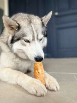 Barres De Fromage De Yak Soufflé - Offre Limitée 2+1 Offert -Animalerie Pawfect friandise fromage yak chien puff bars 4 e3839427 f83a 4785 9f2b 3a46b48c294a