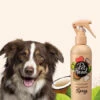 Pet Head Spray Sans Rinçage Pour Chien Sensible - Noix De Coco 🥥 1 Pet Head Spray Sans Rinçage Pour Chien Sensible - Noix De Coco 🥥 -Animalerie Pet head shampoing pour chien Spray shampoing sans rincage noix coco Pet Head 300 ml