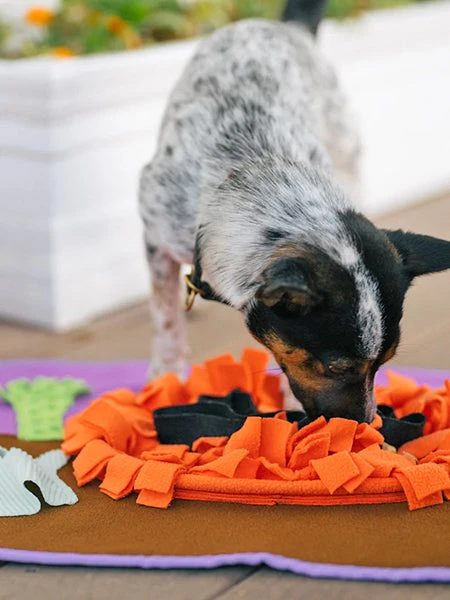 Grand Tapis De Fouille Snuffle Mat - Halloween 👻 - Pet PLAY 4 Grand Tapis De Fouille Snuffle Mat - Halloween 👻 - Pet PLAY – Image 2