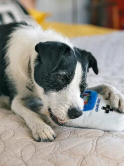 Jouet Rétro Pour Chien - 90's Classic - Game Bone 🎮 - Pet PLAY -Animalerie Pet play jouet peluche chien 90sClassics Toy Game Bone 2