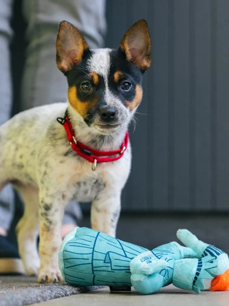 Jouet En Peluche Pour Chien - Statue De La Liberté 🗽 - Pet PLAY 5 Jouet En Peluche Pour Chien - Statue De La Liberté 🗽 - Pet PLAY – Image 3