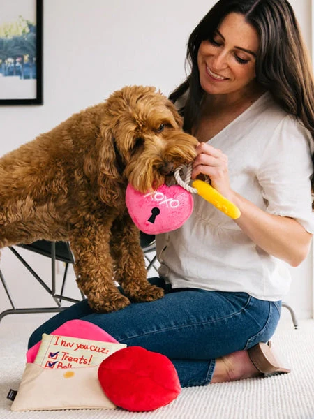 Peluche Pour Chien - Love Bug - Cadenas 🔒💕 - Pet PLAY 4 Peluche Pour Chien - Love Bug - Cadenas 🔒💕 - Pet PLAY – Image 2