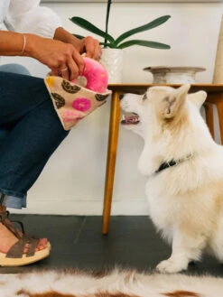 Peluche Pour Chien - Pup Cup Café - Donut 🍩 - Pet PLAY 7 Peluche Pour Chien - Pup Cup Café - Donut 🍩 - Pet PLAY -Animalerie Pet play jouet peluche chien pup cup cafe Doughboy Donut 2