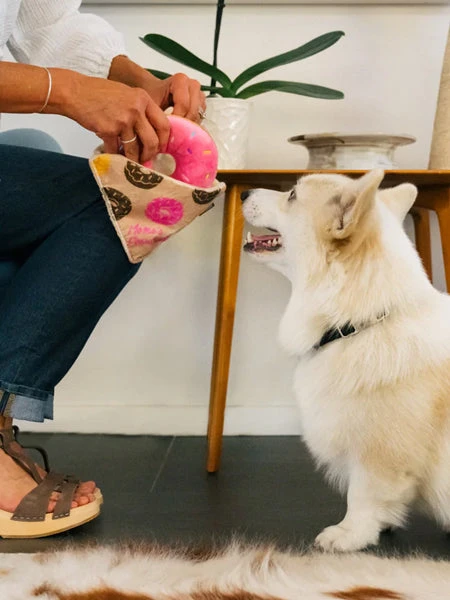 Peluche Pour Chien - Pup Cup Café - Donut 🍩 - Pet PLAY 5 Peluche Pour Chien - Pup Cup Café - Donut 🍩 - Pet PLAY – Image 3