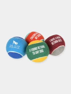Lot De 4 Balles De Tennis Pour Chien - Pet PLAY
