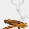 Friandise De Mastication - Tendons De Cerf -Animalerie Pets best friandises pour chien premium tendon de cerf 1