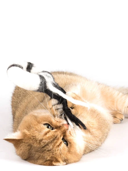 Jouet Pour Chat En Laine Naturelle - Comète 4 Jouet Pour Chat En Laine Naturelle - Comète – Image 2