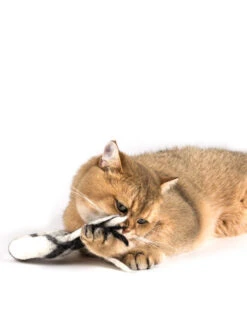 Jouet Pour Chat En Laine Naturelle - Comète 8 Jouet Pour Chat En Laine Naturelle - Comète -Animalerie Profeline jouet pour chat herbe a chat catnip donatcomet laine 2