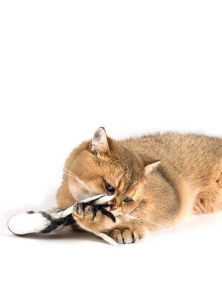 Jouet Pour Chat En Laine Naturelle - Comète 5 Jouet Pour Chat En Laine Naturelle - Comète – Image 3