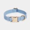 Collier Waterproof Cloud Pour Chien - Bleu Pastel - Shop Sunny Tails 1 Collier Waterproof Cloud Pour Chien - Bleu Pastel - Shop Sunny Tails -Animalerie Shop sunnytails collier waterproof pour chien bleu pastel 1