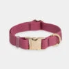 Collier Waterproof Cloud Pour Chien - Mûre - Shop Sunny Tails -Animalerie Shop sunnytails collier waterproof pour chien rose fushia 1