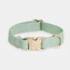 Collier Waterproof Cloud Pour Chien - Pistache - Shop Sunny Tails