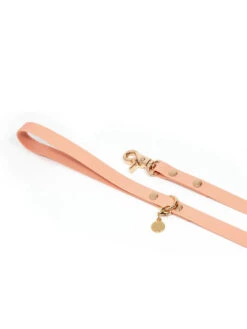 Laisse Waterproof Cloud Pour Chien - Pêche - Shop Sunny Tails -Animalerie Shop sunnytails laisse waterproof pour chien peach beige 3