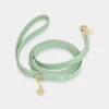 Laisse Waterproof Cloud Pour Chien - Pistache - Shop Sunny Tails 2 Laisse Waterproof Cloud Pour Chien - Pistache - Shop Sunny Tails -Animalerie Shop sunnytails laisse waterproof pour chien vert pastel 1