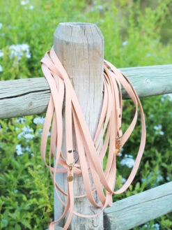 Longe Waterproof D'éducation Pour Chien - Pêche - Shop Sunny Tails -Animalerie Shop sunnytails longe education 9 metres waterproof pour chien peach 2