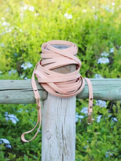 Longe Waterproof D'éducation Pour Chien - Pêche - Shop Sunny Tails -Animalerie Shop sunnytails longe education 9 metres waterproof pour chien peach 4