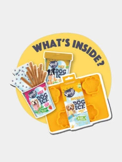 Kit De Préparation Pour Glaces Pour Chien 🍓 + 🥜 - Petit Chien - Smoofl -Animalerie Smoofl glace chien starter kit pack petit chien 2