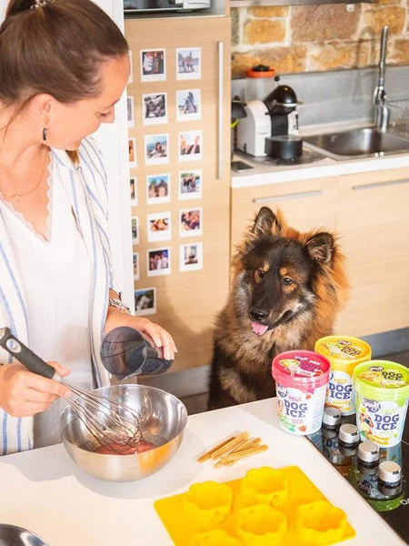 Moule à Glaces Pour Chiot Et Petit Chien - Taille S - Smoofl 4 Moule à Glaces Pour Chiot Et Petit Chien - Taille S - Smoofl – Image 2