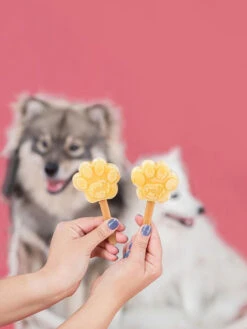 Moule à Glaces Pour Chiot Et Petit Chien - Taille S - Smoofl -Animalerie Smoofl glace pour chien 2022 1 b212a3b1 fe1c 4373 9275 9dbe415001aa 1