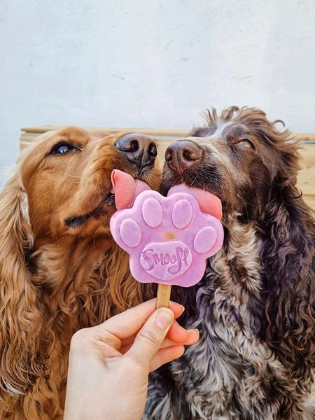 Moule à Glaces Pour Chien - Taille M - Smoofl 6 Moule à Glaces Pour Chien - Taille M - Smoofl – Image 4