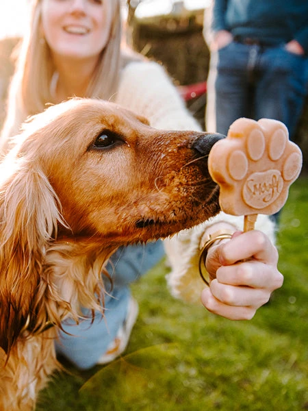 Mélange Pour Glaces Pour Chien - Beurre De Cacahuete 🍦🥜 - Smoofl 4 Mélange Pour Glaces Pour Chien - Beurre De Cacahuete 🍦🥜 - Smoofl – Image 2