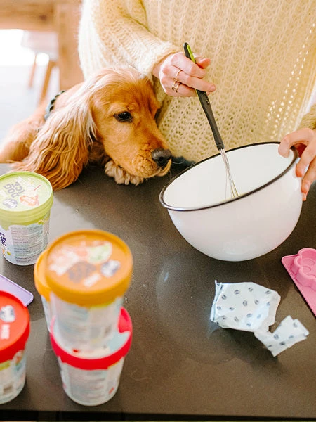 Mélange Pour Glaces Pour Chien - Beurre De Cacahuete 🍦🥜 - Smoofl 5 Mélange Pour Glaces Pour Chien - Beurre De Cacahuete 🍦🥜 - Smoofl – Image 3