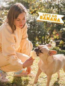 Mélange Pour Glaces Pour Chien - Banane - Smoofl -Animalerie Smoofl glace pour chien banane 1 1