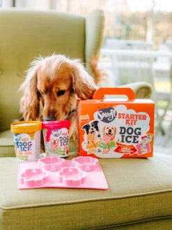 Kit De Préparation Pour Glaces Pour Chien 🍓 + 🥜 - Chien Moyen - Smoofl -Animalerie Smoofl glace pour chien starter kit 3