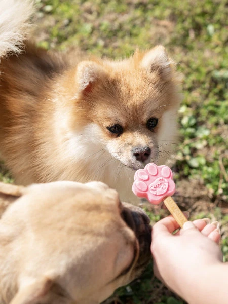 Moule à Glaces Pour Chiot Et Petit Chien - Taille XS - Smoofl 4 Moule à Glaces Pour Chiot Et Petit Chien - Taille XS - Smoofl – Image 2