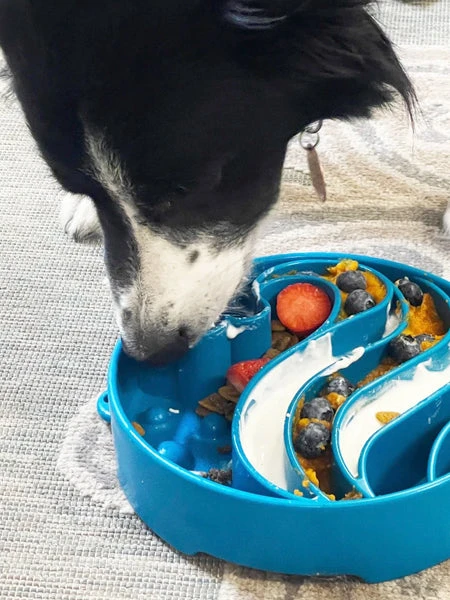 Gamelle D'enrichissement - Vague - SodaPup 4 Gamelle D'enrichissement - Vague - SodaPup – Image 2