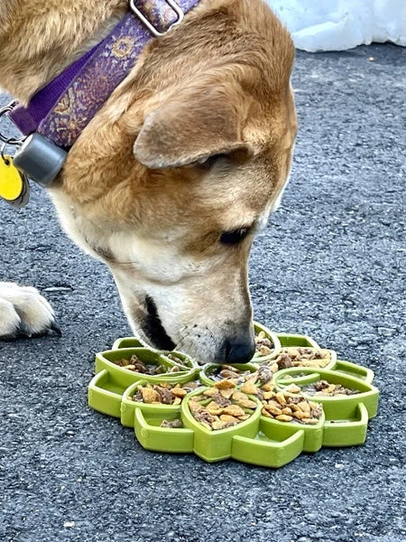 Gamelle D'enrichissement - Mandala - Vert - SodaPup 7 Gamelle D'enrichissement - Mandala - Vert - SodaPup – Image 5