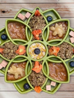 Gamelle D'enrichissement - Mandala - Vert - SodaPup -Animalerie SodaPup jouet enrichissement etray pour chien chiot mandala vert 2