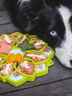 Gamelle D'enrichissement - Mandala - Vert - SodaPup -Animalerie SodaPup jouet enrichissement etray pour chien chiot mandala vert 3