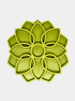Gamelle D'enrichissement - Mandala - Vert - SodaPup