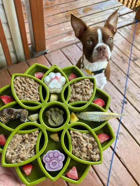 Gamelle D'enrichissement - Mandala - Vert - SodaPup 4 Gamelle D'enrichissement - Mandala - Vert - SodaPup – Image 2