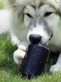 Jouet Occupation Pour Chien - Canette Noire - SodaPup -Animalerie SodaPup jouet interactif pour chien chiot canette noir 3