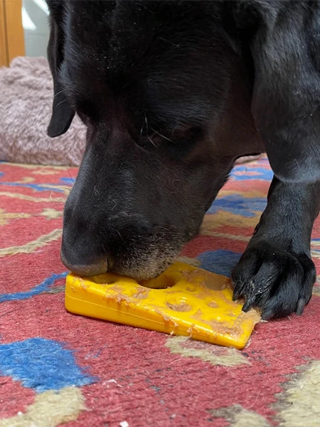 Jouet à Mâcher Ou à Lécher - Fromage 🧀 - SodaPup 4 Jouet à Mâcher Ou à Lécher - Fromage 🧀 - SodaPup – Image 2