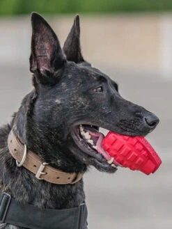 Jouet Occupation Pour Chien - Grenade - SodaPup -Animalerie SodaPup jouet interactif pour chien chiot grenade rouge k9 5