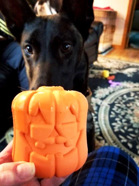 Jouet Occupation Pour Chien - Jack-O-Lantern - SodaPup 4 Jouet Occupation Pour Chien - Jack-O-Lantern - SodaPup – Image 2