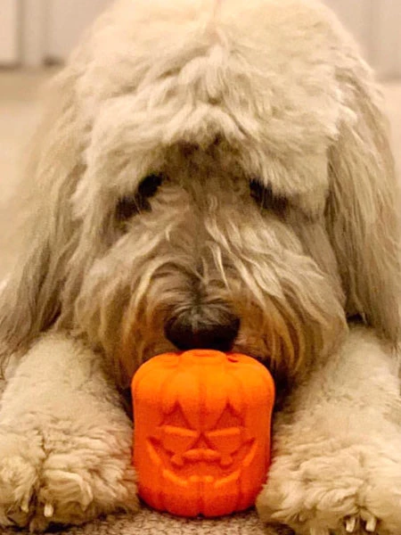 Jouet Occupation Pour Chien - Jack-O-Lantern - SodaPup 6 Jouet Occupation Pour Chien - Jack-O-Lantern - SodaPup – Image 4