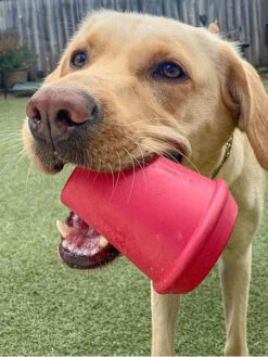 Jouet Occupation Pour Chien - Mug Rose - SodaPup 14 Jouet Occupation Pour Chien - Mug Rose - SodaPup -Animalerie SodaPup jouet interactif pour chien chiot mug rose 6