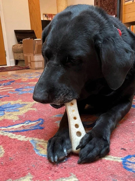 Jouet à Mâcher Ou à Lécher Pour Chien - Os à Garnir - SodaPup 4 Jouet à Mâcher Ou à Lécher Pour Chien - Os à Garnir - SodaPup – Image 2