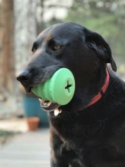 Jouet Occupation Pour Chien - Sapin De Noël - SodaPup -Animalerie SodaPup jouet interactif pour chien chiot sapin noel 1
